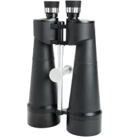 Celestron 25x100