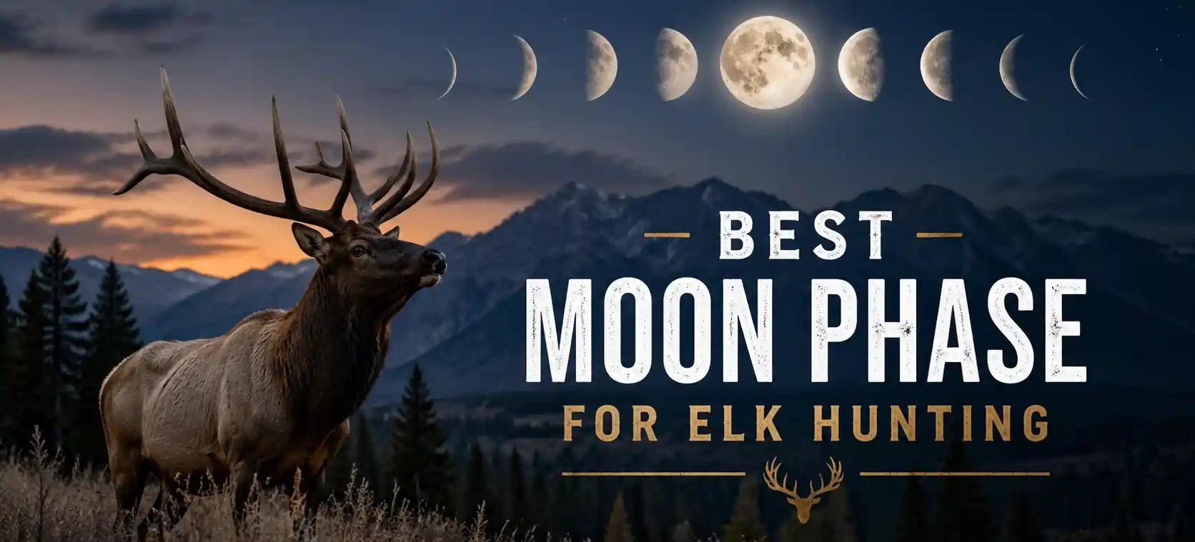 best-moon-phase-for-elk-hunting